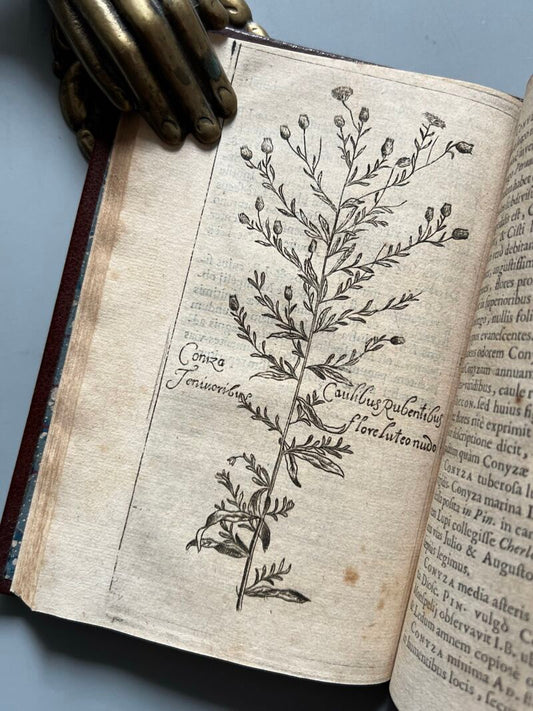 Botanicum Monspeliense, Pierre Magnol - Francisci Bourly - 1676, Primera edición