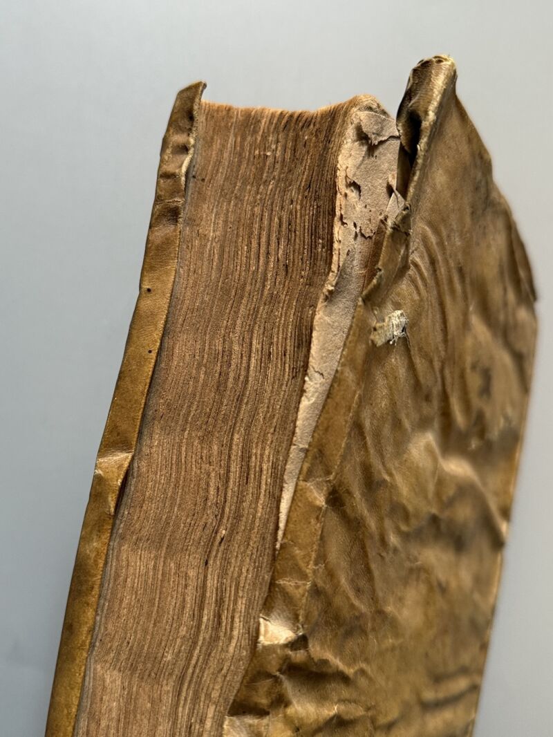 Parte segunda de las obras en prosa de Don Francisco de Quevedo - Melchor Sanchez, 1658