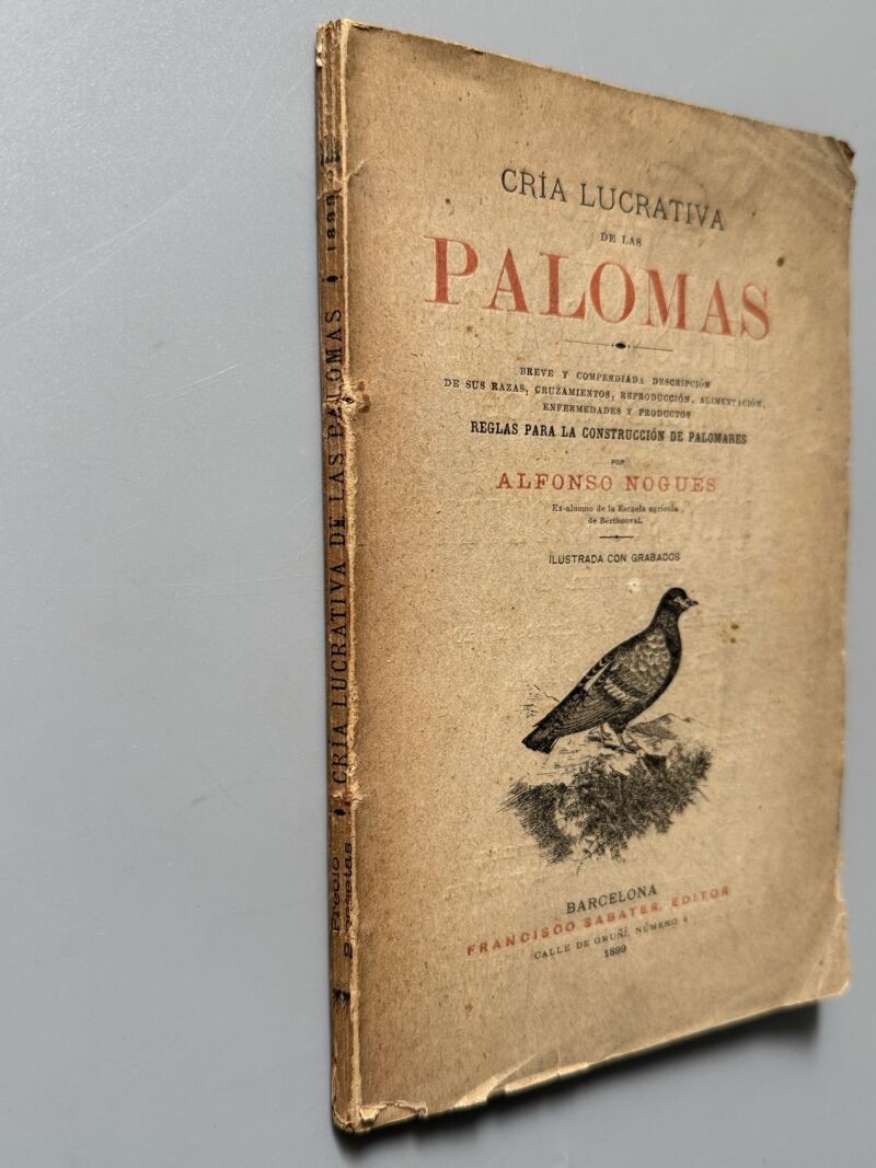Cría lucrativa de las palomas, Alfonso Nogués - Francisco Sabater Editor, 1899