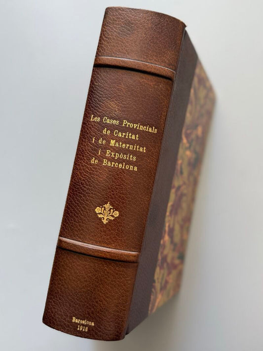 Les cases provincials de caritat i de maternitat i expòsits de Barcelona - 1918