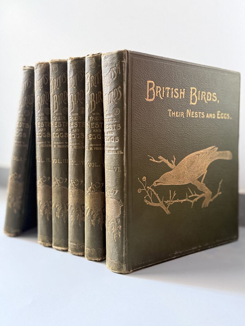 British birds and their nests and eggs. Completo - Brumby & Clarke, ca. 1890