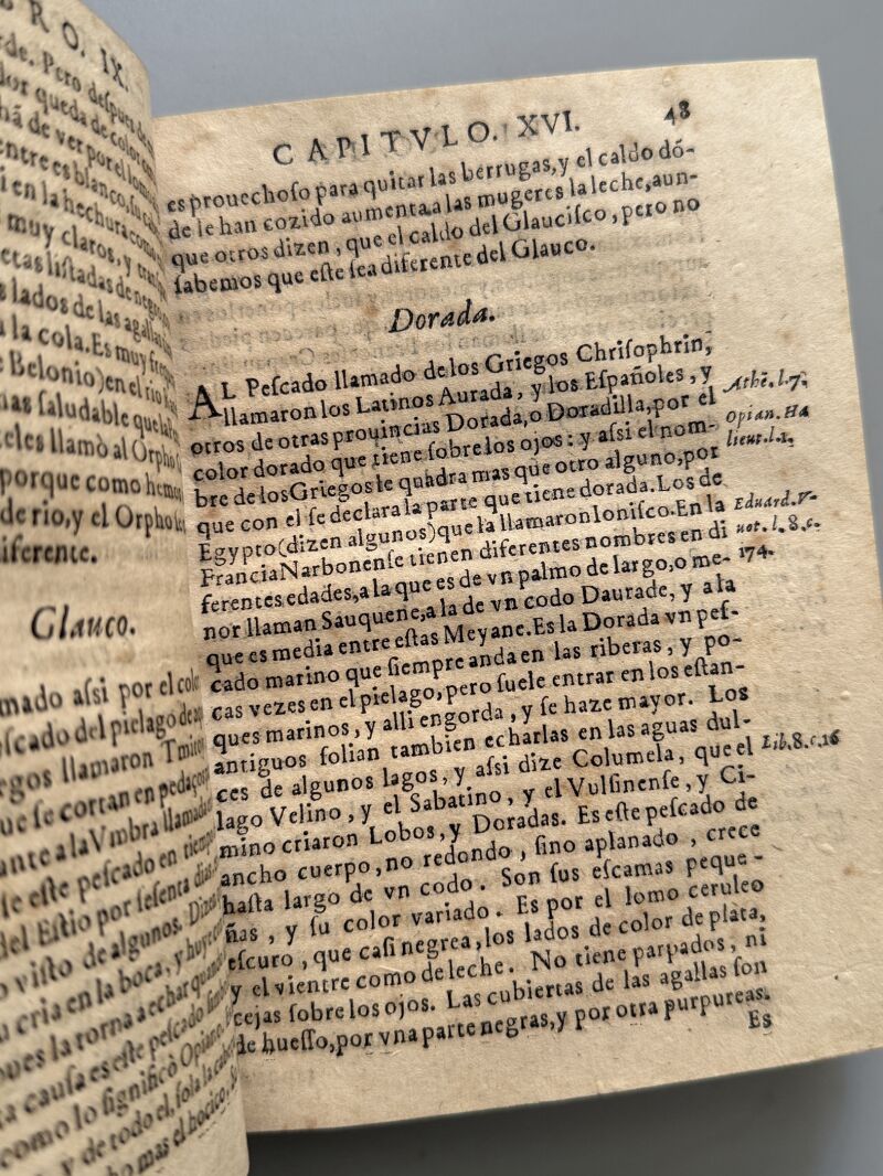 Historia natural de los animales, Caio Plinio. Geronimo de Huerta - Alcalá/ Madrid, 1602 - 1603