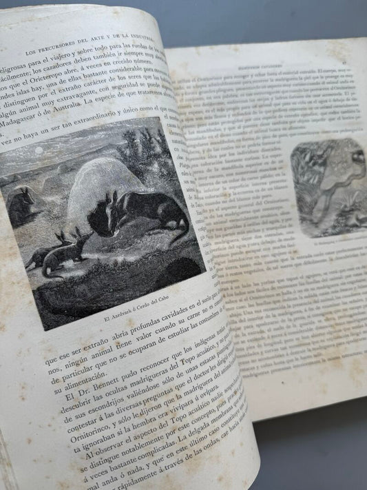 Los precursores del arte y de la industria, J. G. Wood - Montaner y Simón, 1886
