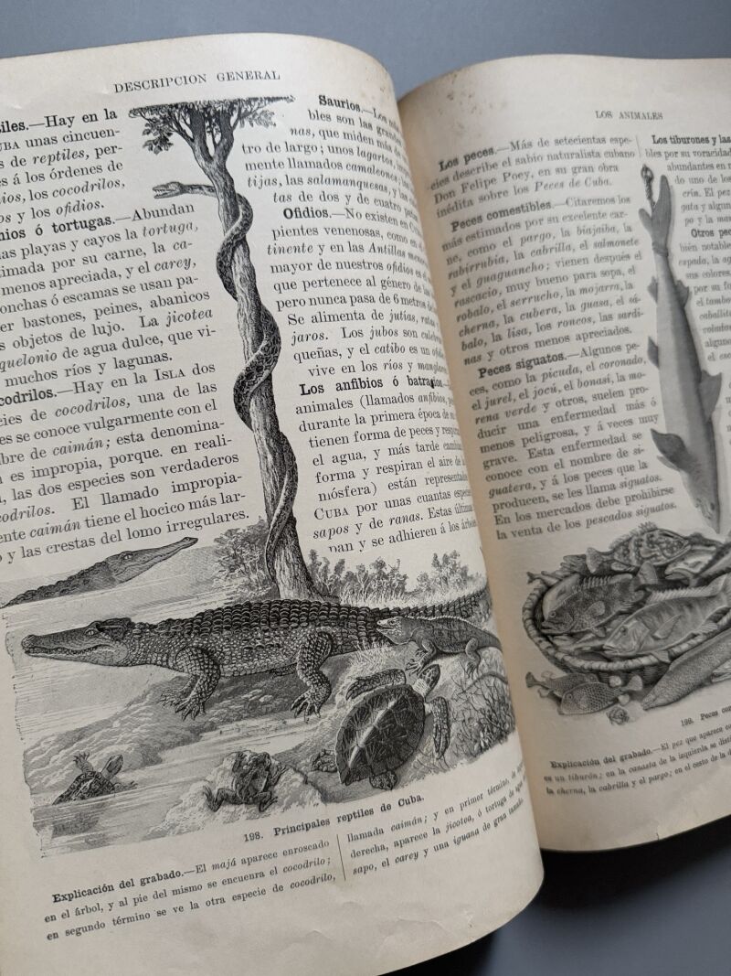 Geografía de la isla de Cuba, Alfredo M. Aguayo - Lib. e Imp. "La moderna poesía", 1907
