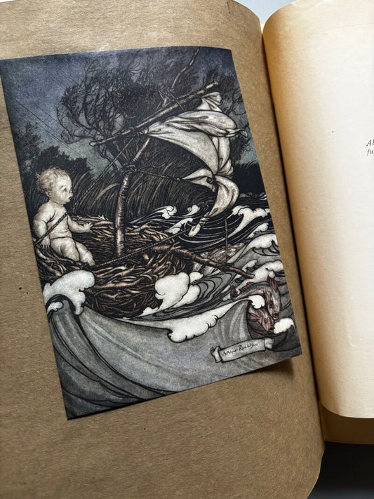 Piter Pan dans les Jardins de Kensington. Arthur Rackham (nº8 de 20) - Hachette et Cie, 1907