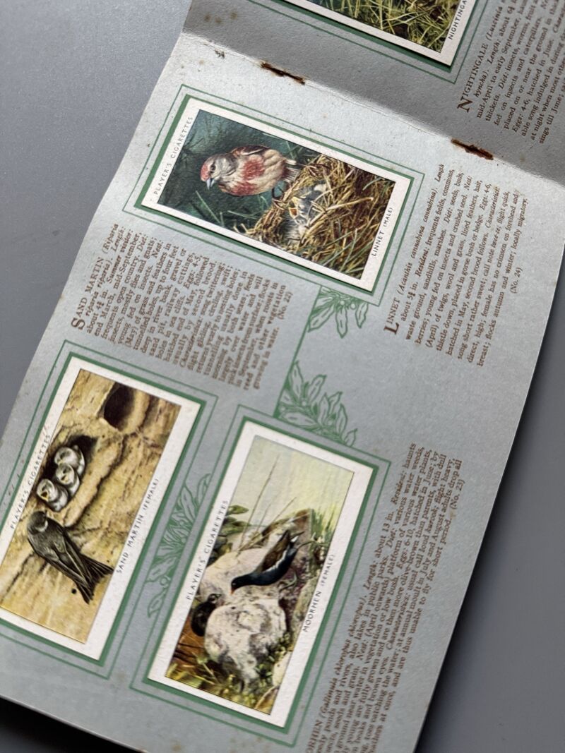 An album of birds & their young. Album de cromos completo - John Player & Sons, ca. 1920