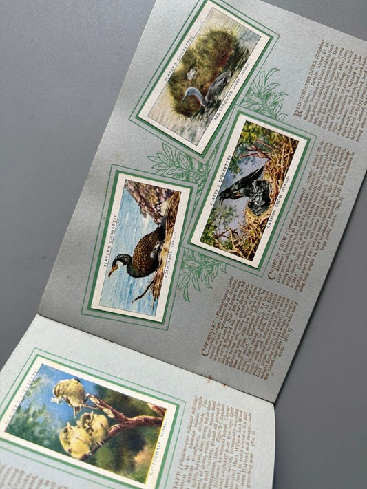 An album of birds & their young. Album de cromos completo - John Player & Sons, ca. 1920