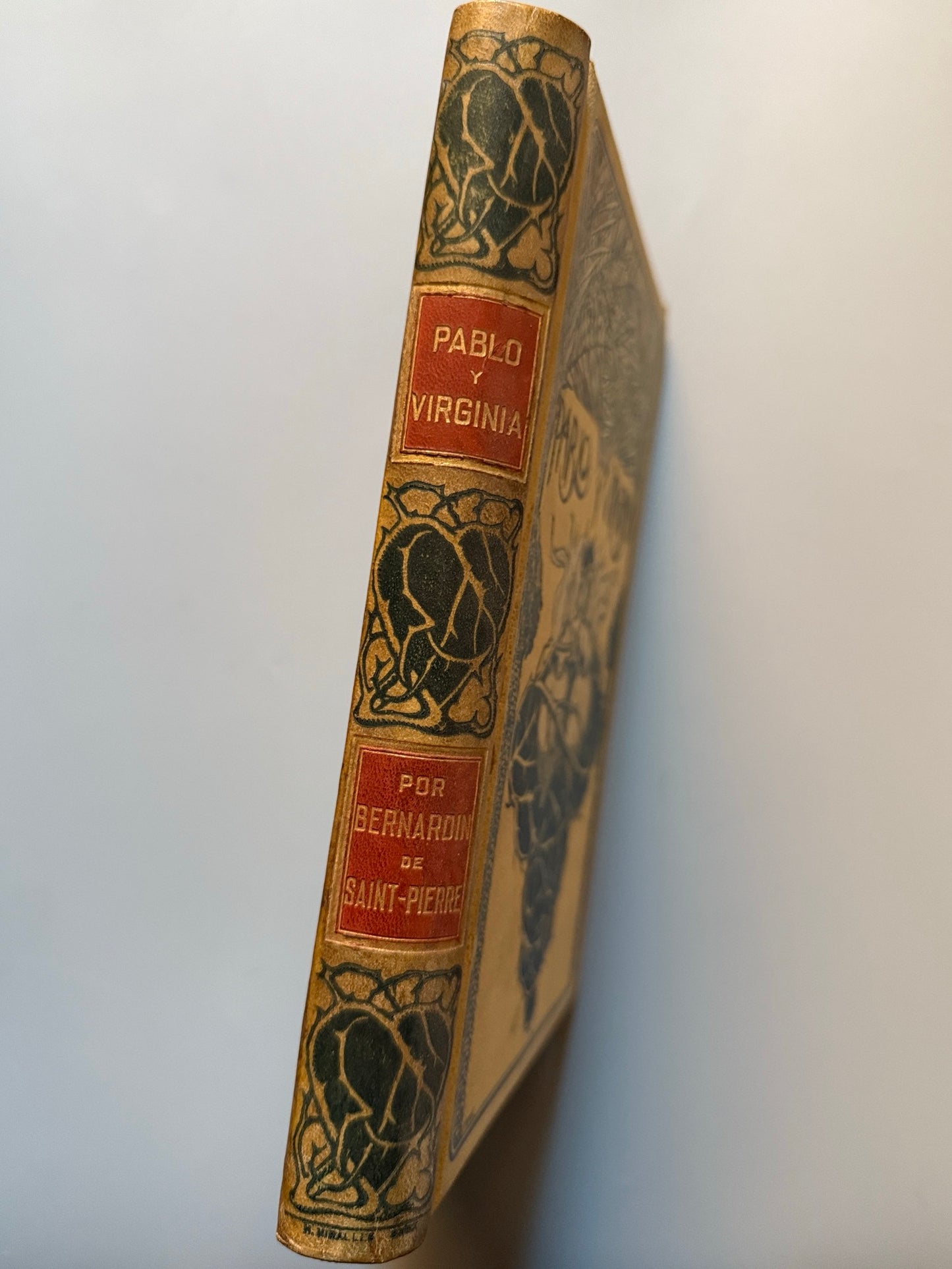 Libro de: Pablo y Virginia, Bernardino de Saint-Pierre - Montaner y Simón, 1902