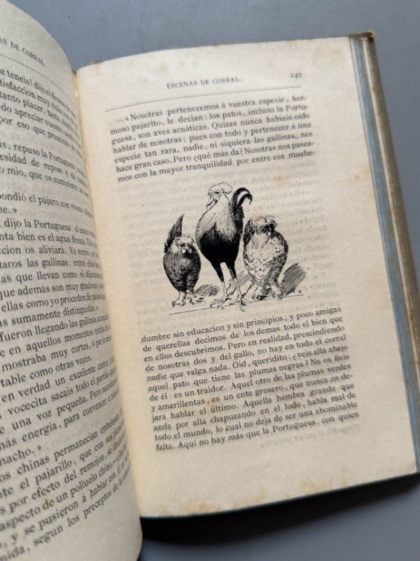 Cuentos de Andersen - Biblioteca Arte y Letras, 1881