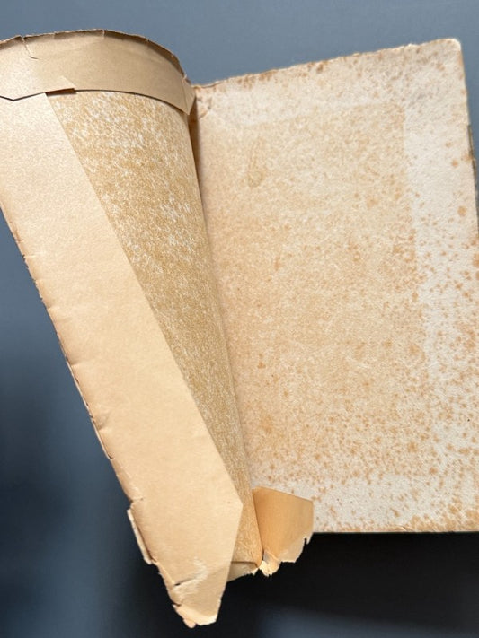 Obras de Rabindranath Tagore. Morada de paz. Traducción de Zenobia Camprubí - Madrid, 1919