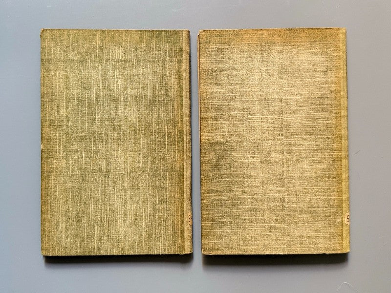 Atlas de mariposas y orugas, Ignacio de Sagarra - C. Seither Editor, 1934