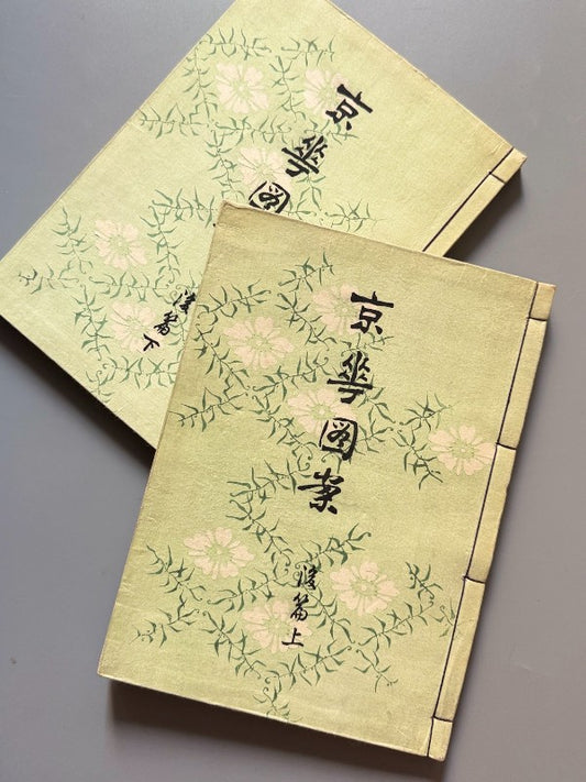 Kyōka Zuan: Diseños desde la capital, Hasegawa Keika (vol. kōhen) - Yamada Unsōdō, 1904-1905