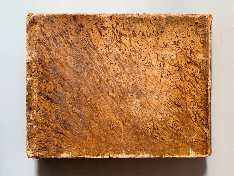 Gran colección de láminas del Antiguo y Nuevo Testamento, Julio Schnorr - Faustino Paluzie, 1876