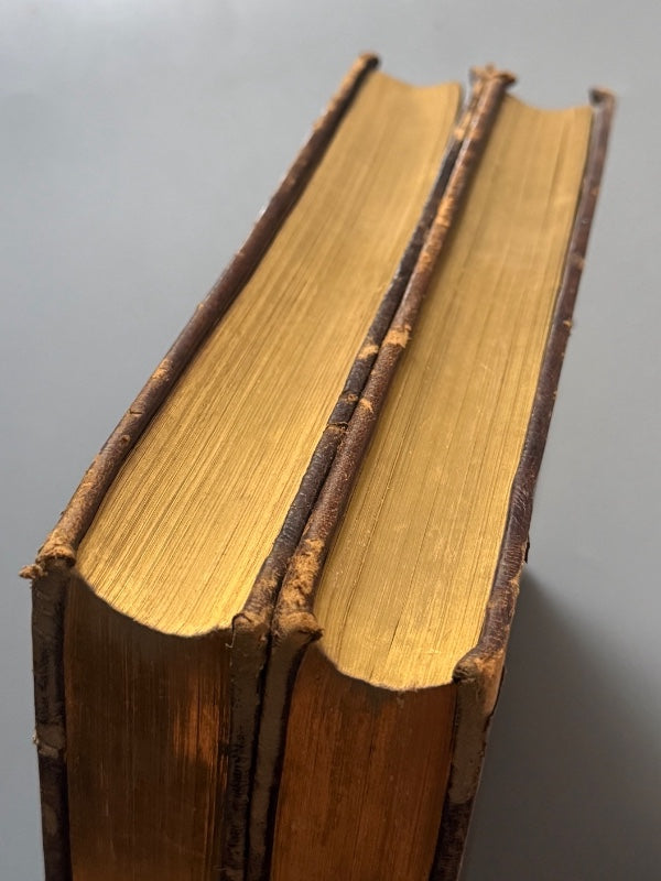 Jesucristo, Louis Veuillot - Viuda de Rodriguez Casa Editorial, 1881