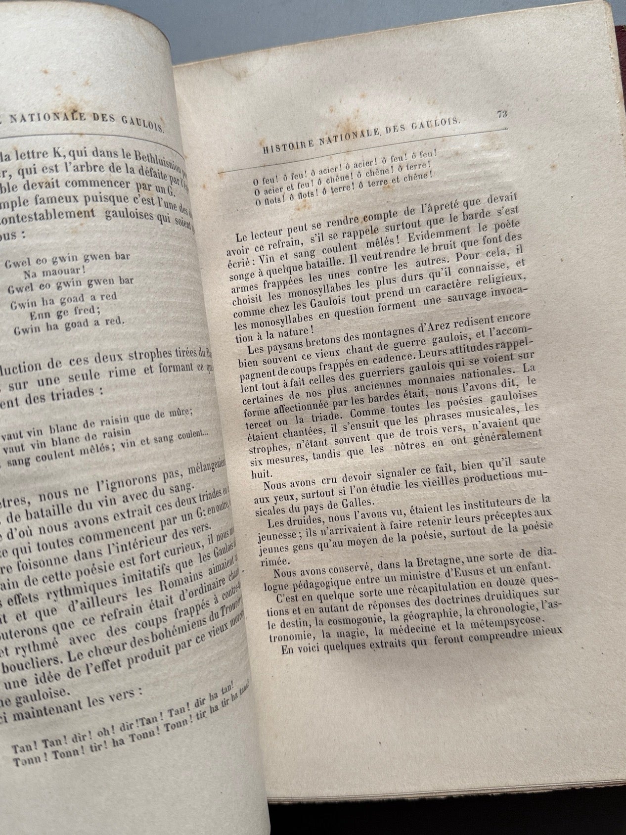 Libro de: Histoire nationale des gaulois sous Vercingétorix, Ernest Bosc - Libraire de Firmin-Didot, 1882