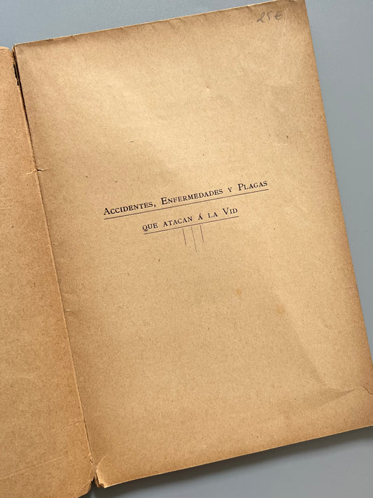 Accidentes, enfermedades y plagas que atacan la vid, Hermenegildo Gorría - José Peix editor, ca. 1900