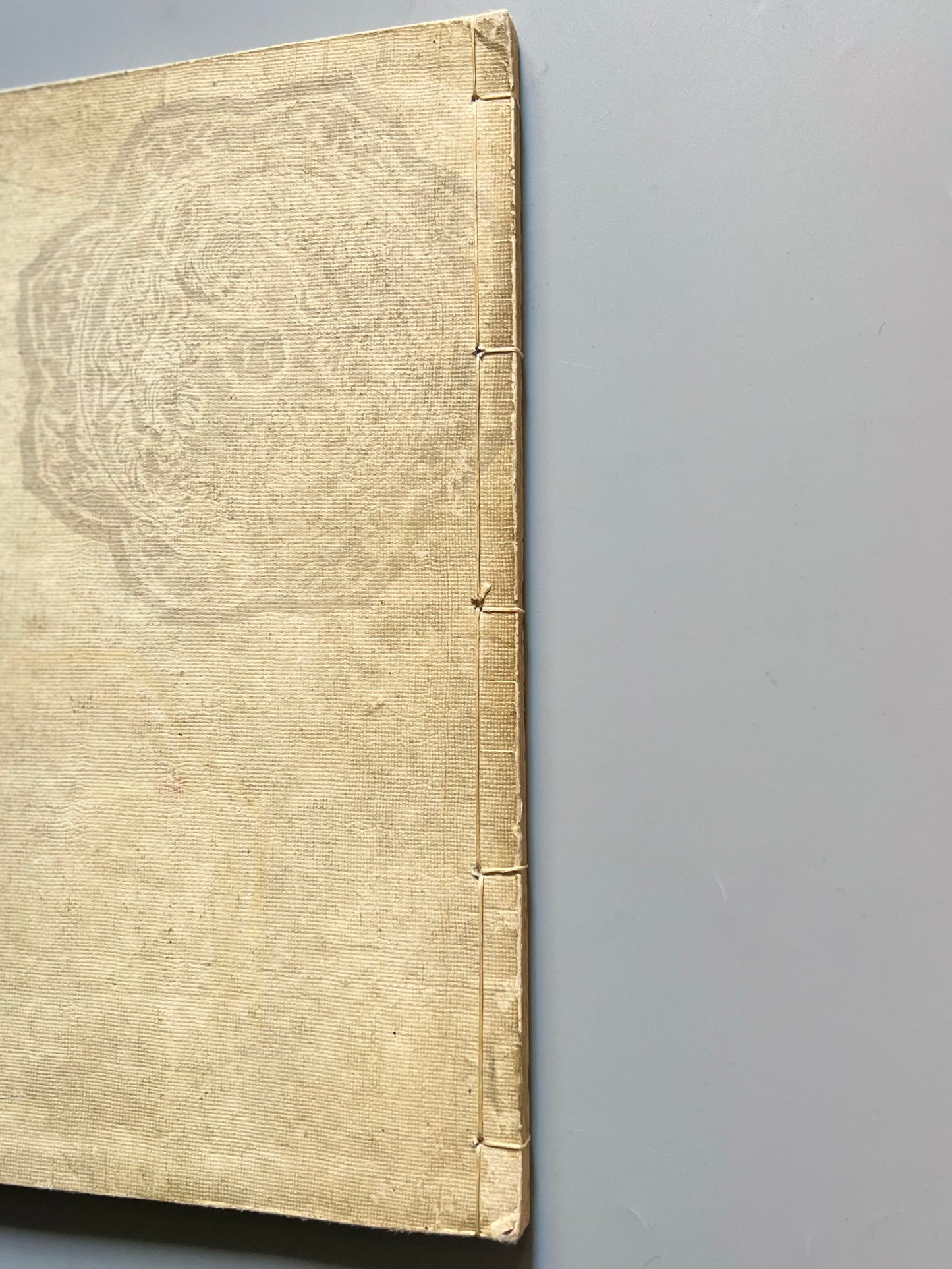 Bairei Hyakucho Gafu Zoko-hen (El álbum de los cien pájaros de Köno Bairei), volumen I - Okura Magobei, ca. 1884