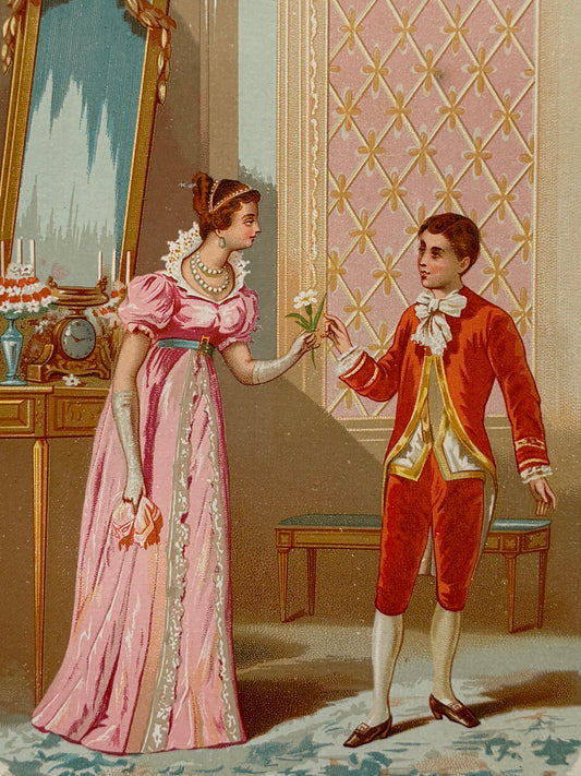 Cromolitografía "un clavel político" - La vida de las flores, 1878