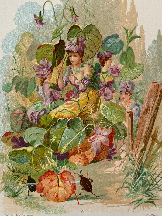Cromolitografía La Violeta - La vida de las flores, 1878