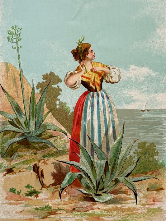 Cromolitografía Pita - La vida de las flores, 1878