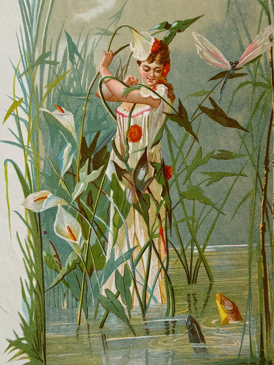 Cromolitografía Lirio de agua - La vida de las flores, 1878