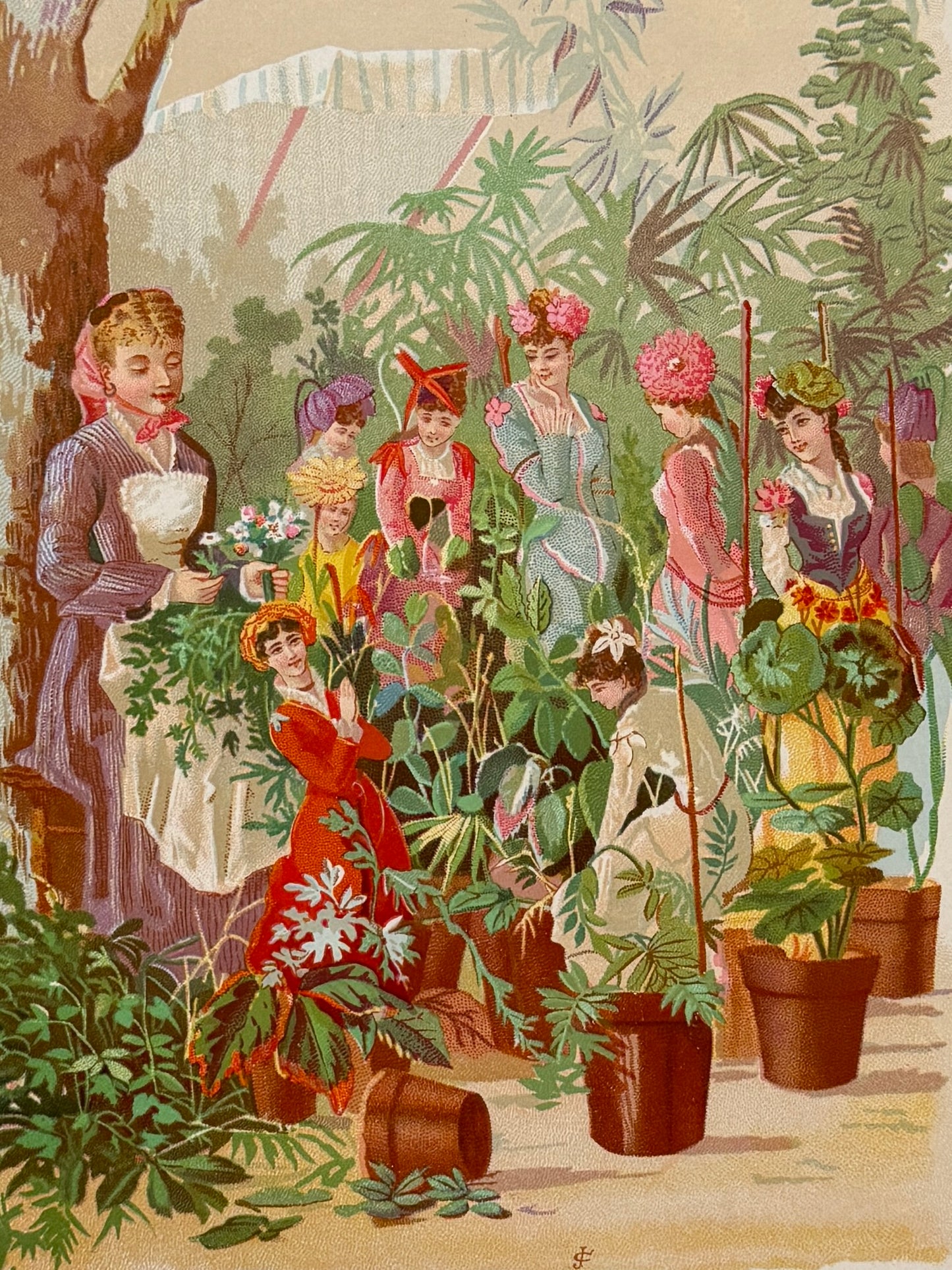 Cromolitografía Trata de flores- La vida de las flores, 1878