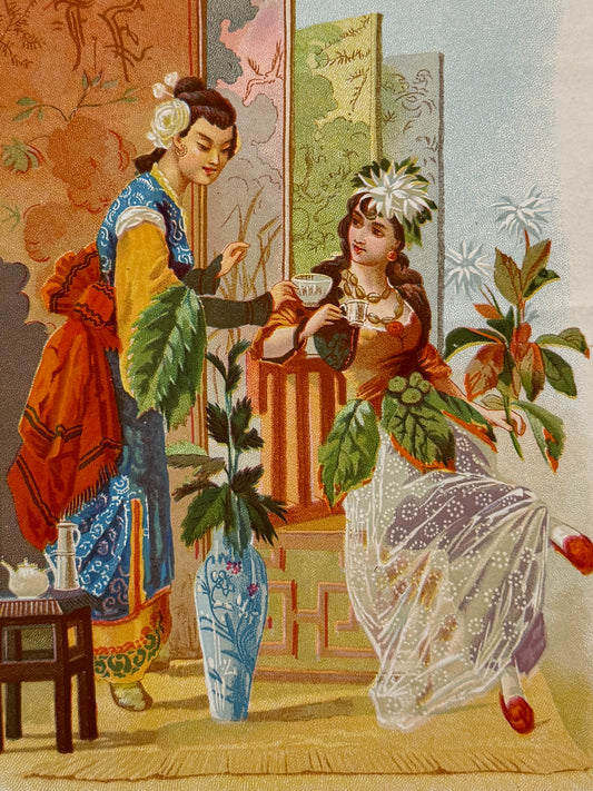 Cromolitografía Té y café - La vida de las flores, 1878