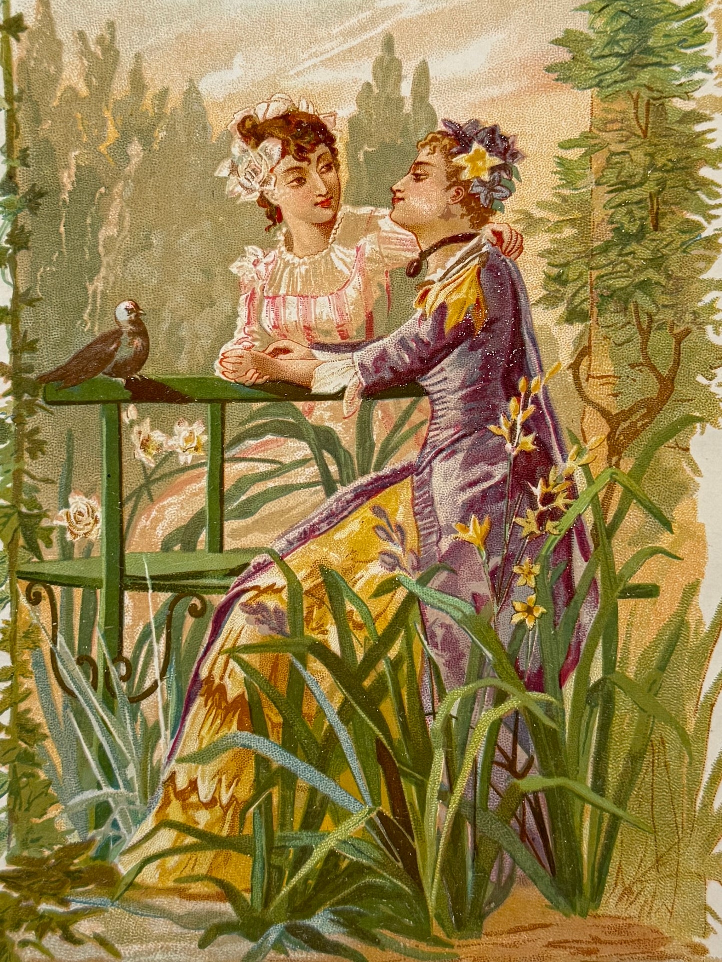 Cromolitografía Junquillo y Tuberosa - La vida de las flores, 1878