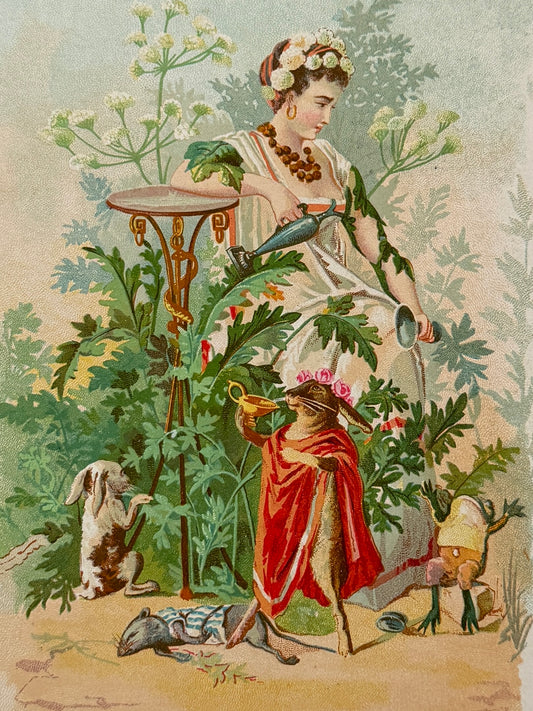Cromolitografía Cicuta - La vida de las flores, 1878