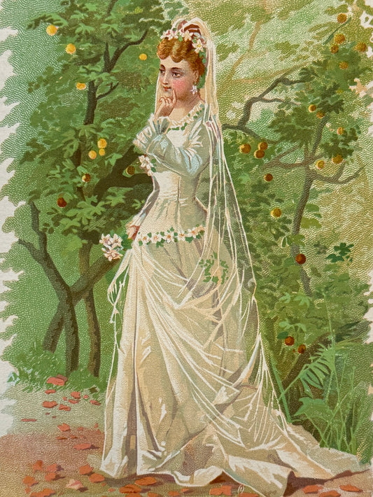 Cromolitografía Flor de naranjo - La vida de las flores, 1878