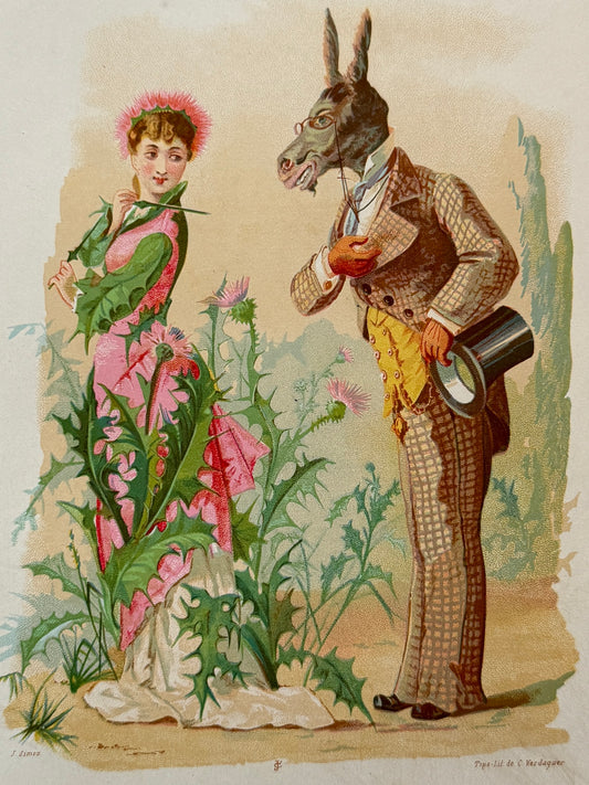 Cromolitografía Cardo - La vida de las flores, 1878