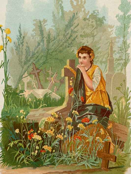 Cromolitografía Siempreviva - La vida de las flores, 1878