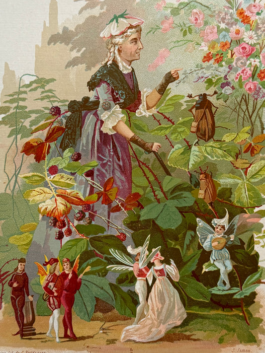 Cromolitografía Morera - La vida de las flores, 1878
