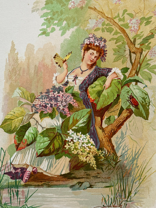 Cromolitografía Lila - La vida de las flores, 1878