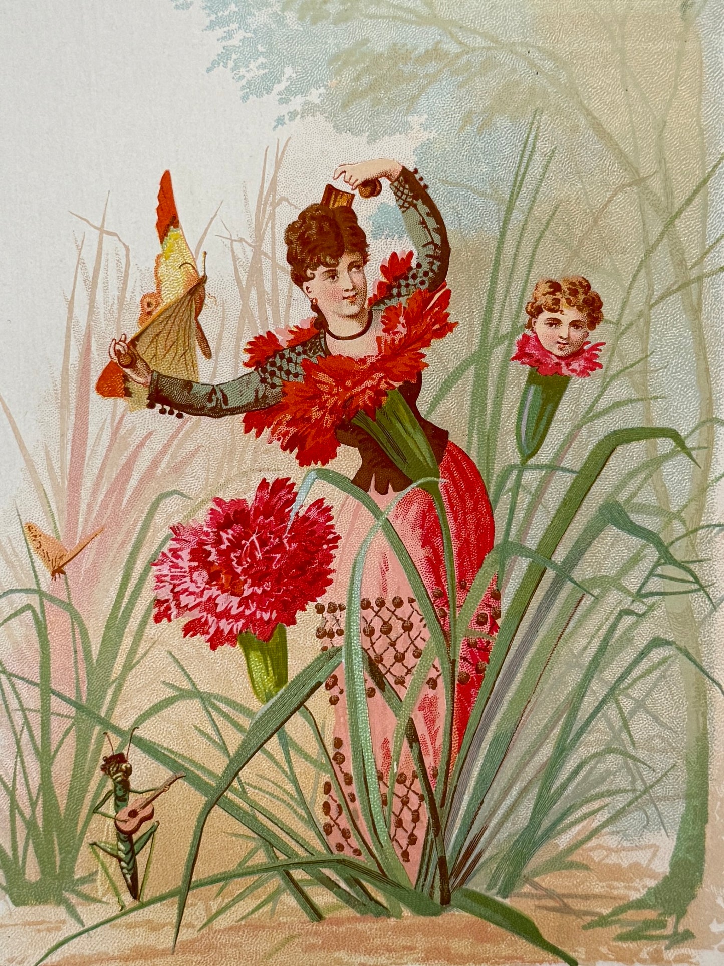 Cromolitografía Clavel - La vida de las flores, 1878