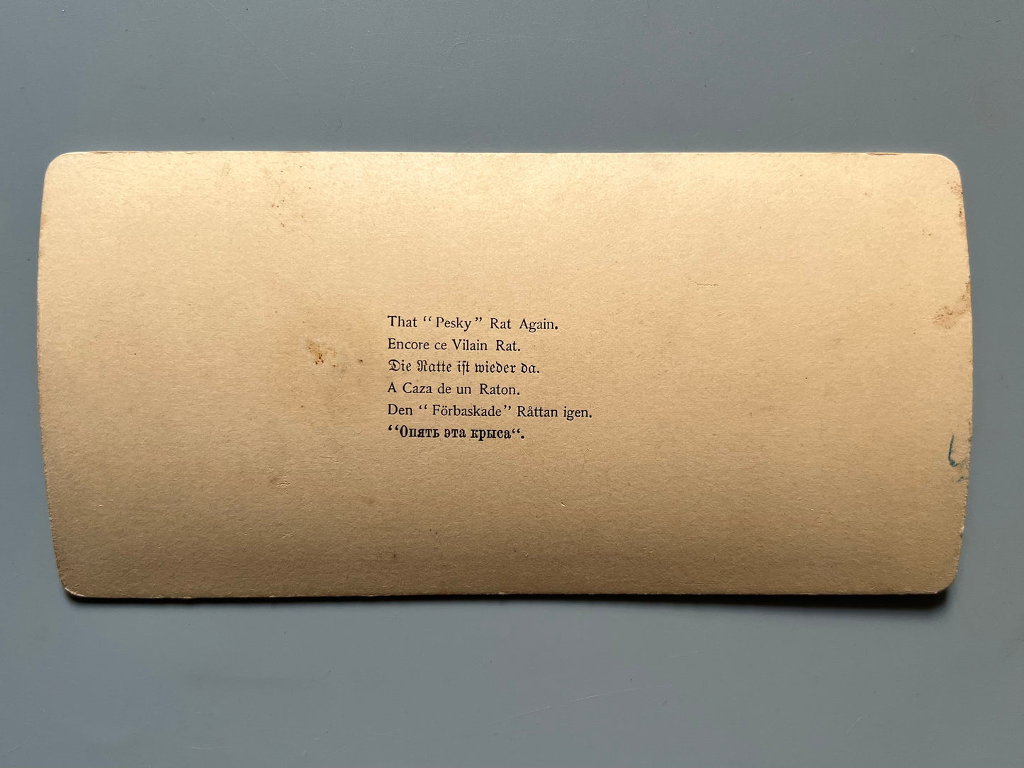 "That Pesky rat again", fotografía estereoscópica de teatro - Littleton View Co, ca. 1891