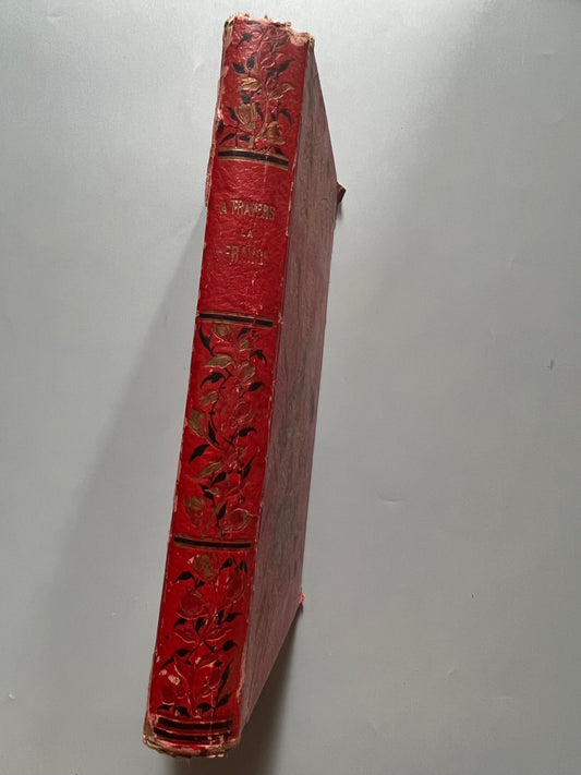 A travers la France, l'Italie, la Suisse et l'Espagne, Alphonse Cordier - Eugène Ardant et Cia, éditeurs, finales s.XIX - Antigularia (detalle 1)