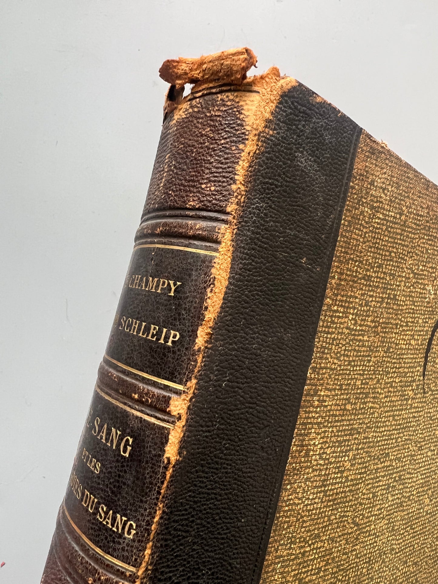 Le sang et les maladies du sang, Christian Champy - Société d'Éditions Scientifiques et Medicales, 1913
