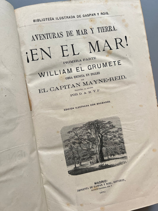 Obras del Capitán Mayne-Reid y Viajes de Gulliver - Gaspar y Roig, 1870/1884