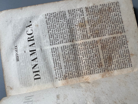 Historia de Dinamarca, M. J. B. Eyres. Panorama Universal - Imprenta de A. Frecas, 1850 - Antigularia (detalle 1)