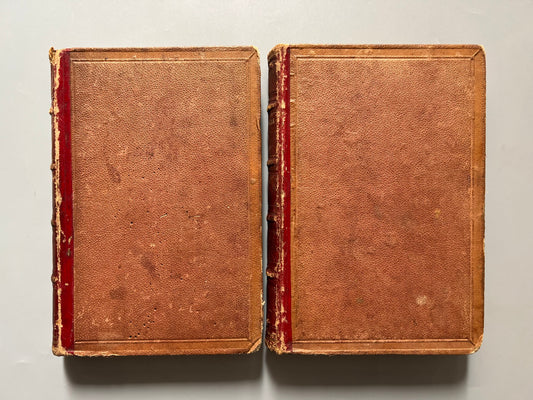 Las plagas de un pueblo, Florencio Luis Parreño - Oficina tipográfica del hospicio, 1870