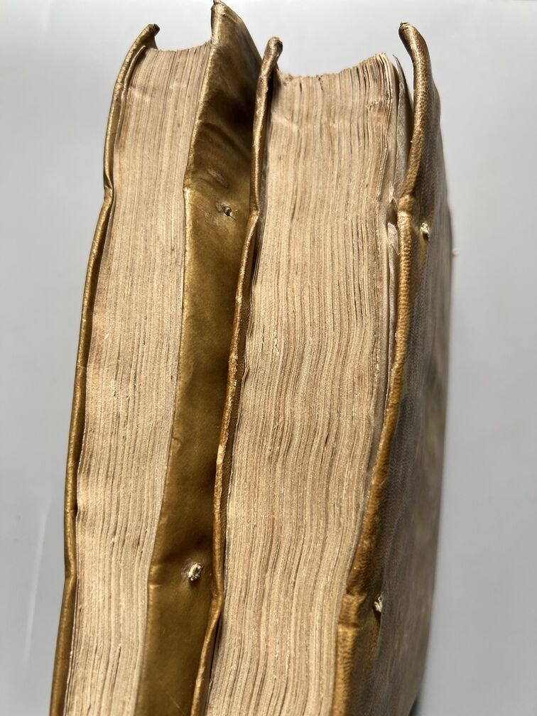 Adarga Catalana, Arte Heraldica - Francisco Xavier de Garma - Imprenta de Mauro Martí, 1753, 2 Tomos