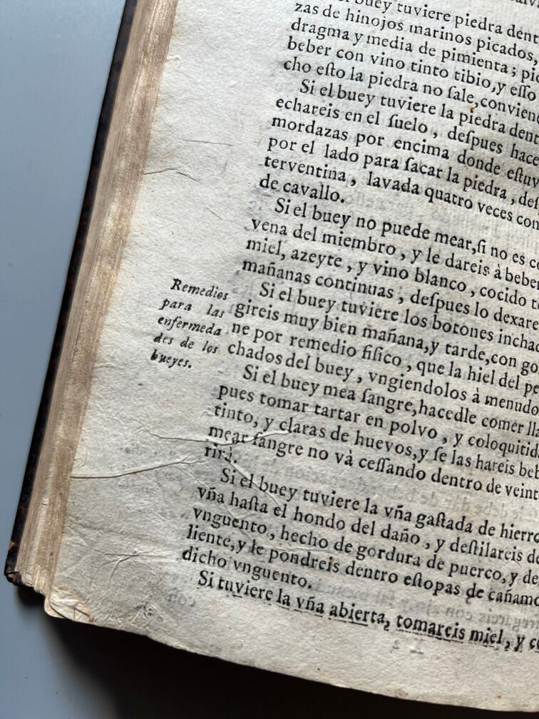 Libro de los Secretos de Agricultura - Miguel Agustí - Madrid: Antonio Sanz Impresor. 1731