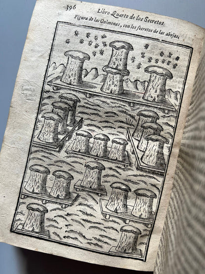 Libro de los Secretos de Agricultura - Miguel Agustí - Madrid: Antonio Sanz Impresor. 1731