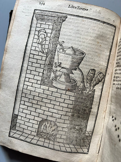 Libro de los Secretos de Agricultura - Miguel Agustí - Madrid: Antonio Sanz Impresor. 1731