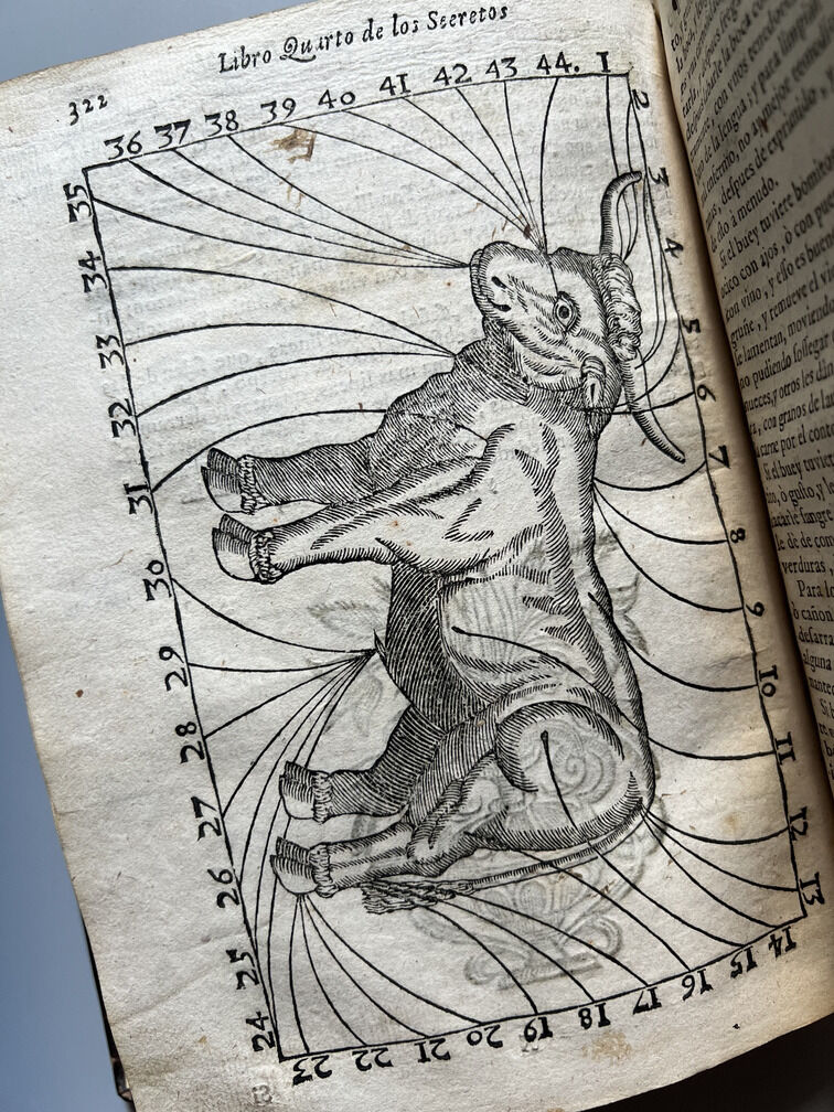 Libro de los Secretos de Agricultura - Miguel Agustí - Madrid: Antonio Sanz Impresor. 1731