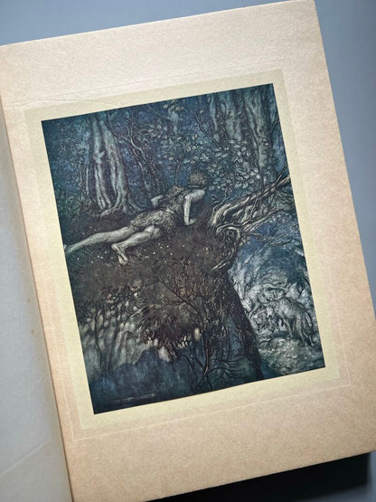 Siegfried & The Twilight Of Gods