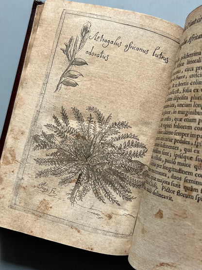 Botanicum Monspeliense, Pierre Magnol - Francisci Bourly - 1676, Primera edición