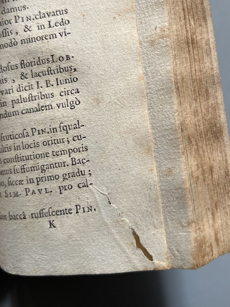 Botanicum Monspeliense, Pierre Magnol - Francisci Bourly - 1676, Primera edición