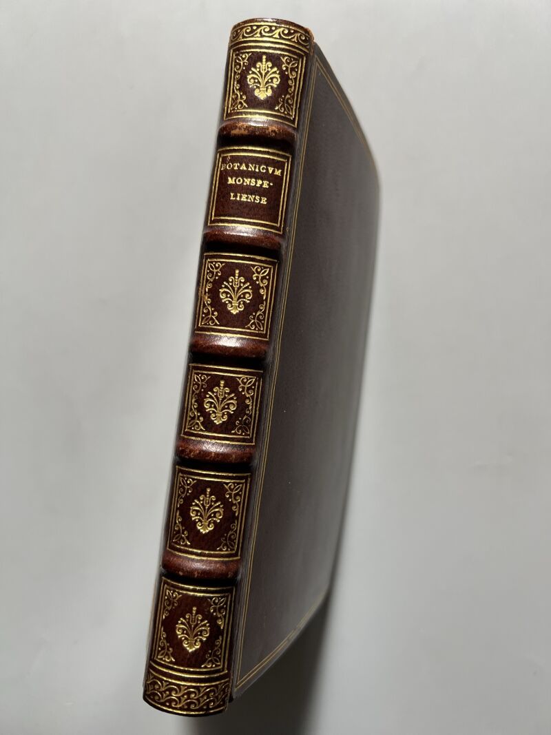 Botanicum Monspeliense, Pierre Magnol - Francisci Bourly - 1676, Primera edición